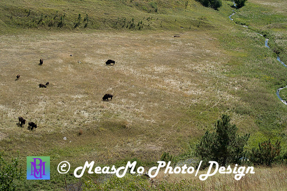 Rapid City_Sep022015_8101