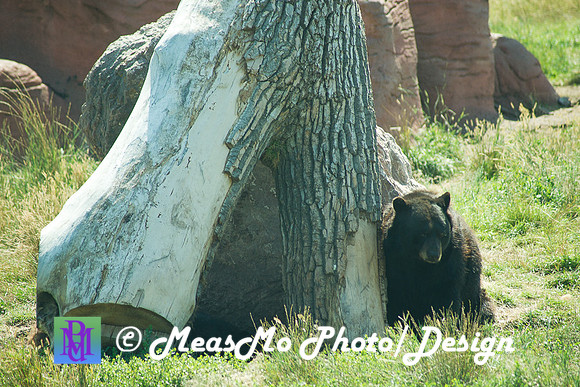 Rapid City_Sep012015_4867