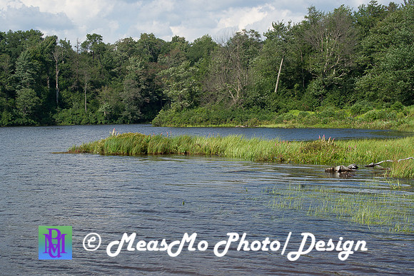 Alexis at Ricketts Glen_July 26, 2018_0064