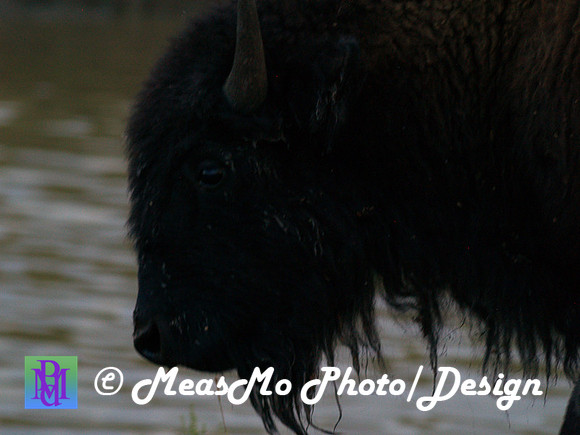 Rapid City_Sep042015_2760