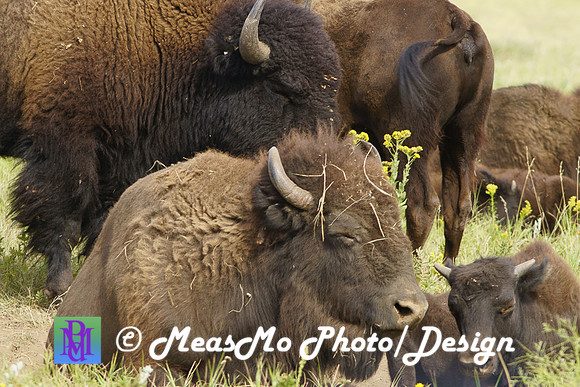 Rapid City_Sep032015_9070