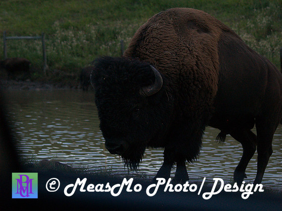 Rapid City_Sep042015_2819