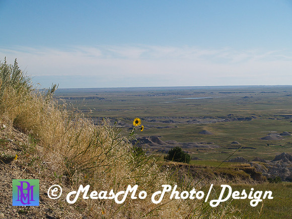 Rapid City_Sep042015_2155