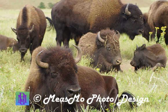 Rapid City_Sep032015_9055