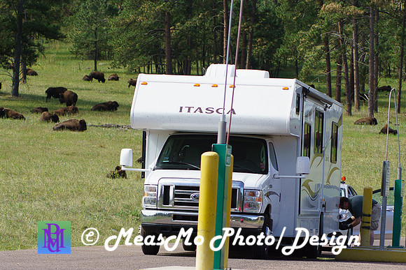 Rapid City_Sep032015_8915