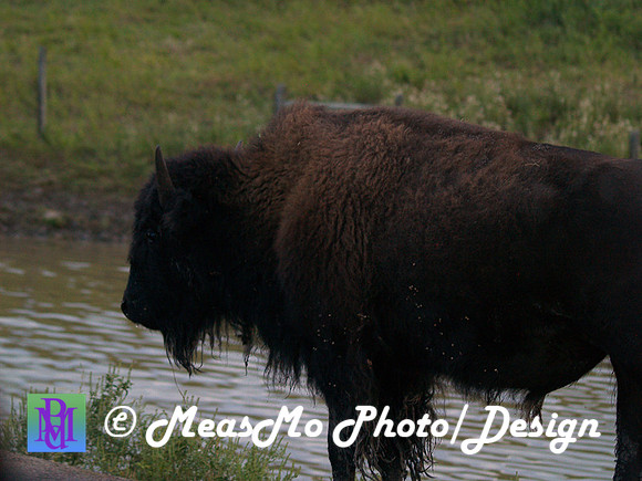 Rapid City_Sep042015_2766