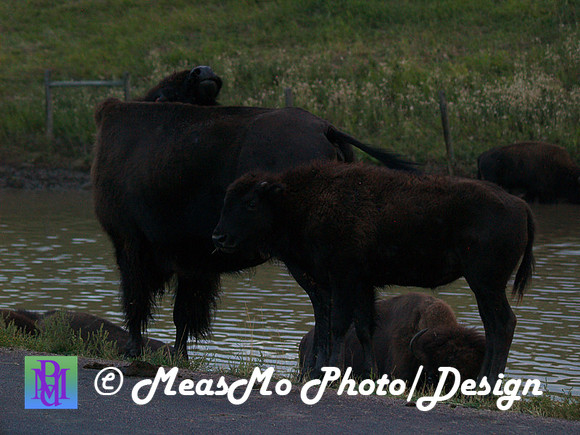 Rapid City_Sep042015_2795