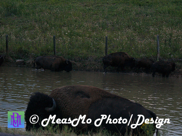 Rapid City_Sep042015_2802