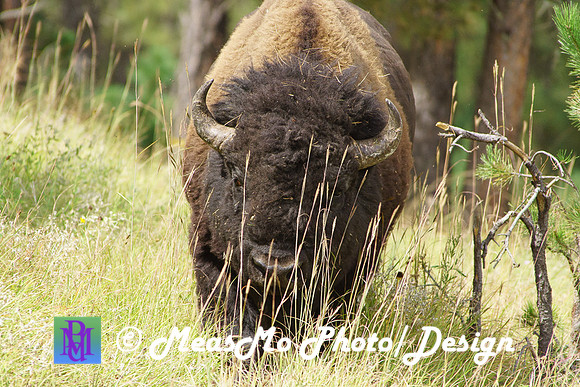 Rapid City_Sep032015_8994