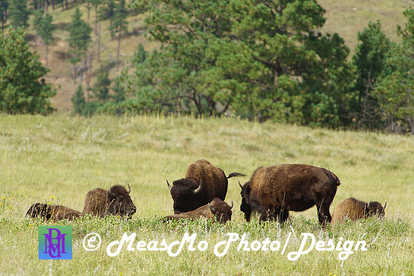 Rapid City_Sep032015_9041