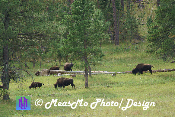 Rapid City_Sep032015_9082