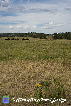 Rapid City_Sep032015_9288
