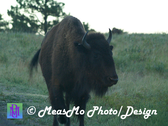 Rapid City_Sep042015_2743