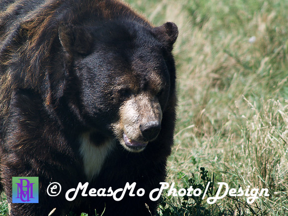 Rapid City_Sep012015_5938