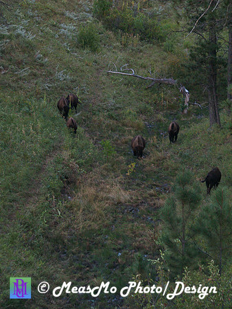 Rapid City_Sep042015_2739