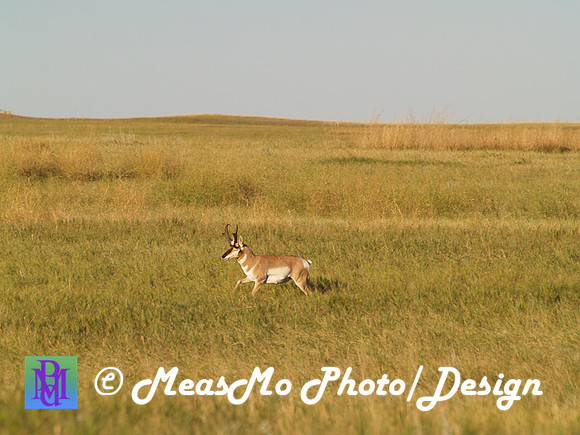 Rapid City_Sep042015_2052