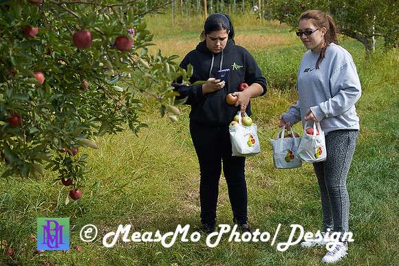 Apple Picking and Picnic_Sep272015_3126