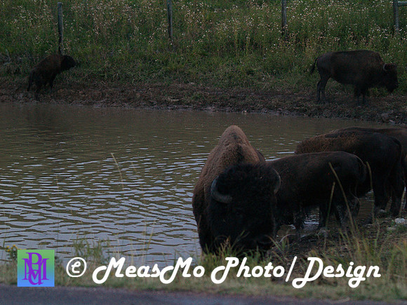 Rapid City_Sep042015_2787