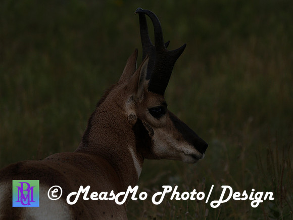 Rapid City_Sep042015_2658
