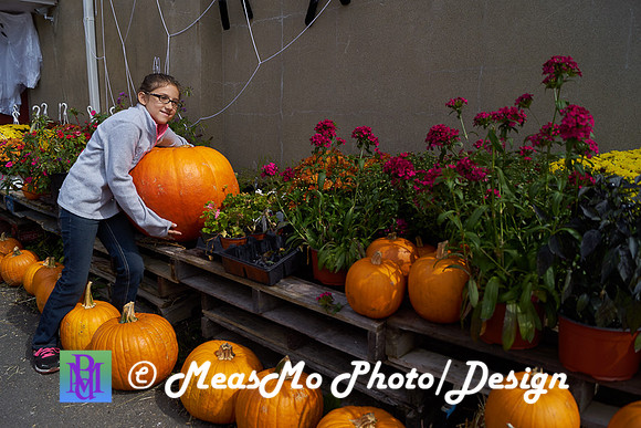 Apple Picking and Picnic_Sep272015_3109