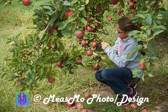 Apple Picking and Picnic_Sep272015_3125