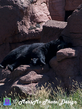 Rapid City_Sep012015_6018