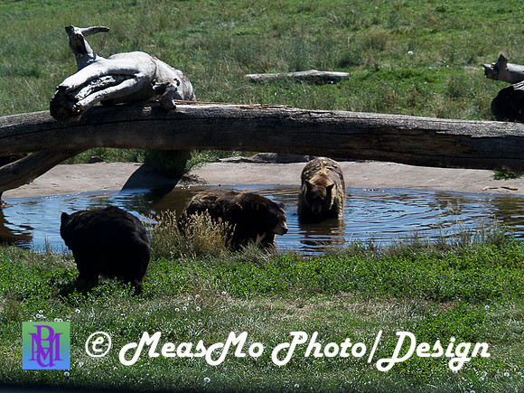 Rapid City_Sep012015_5848