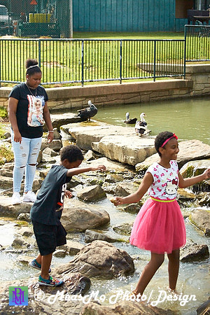 Grandkids StepDaughter_August 26, 2017_0363