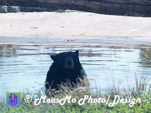 Rapid City_Sep012015_5785