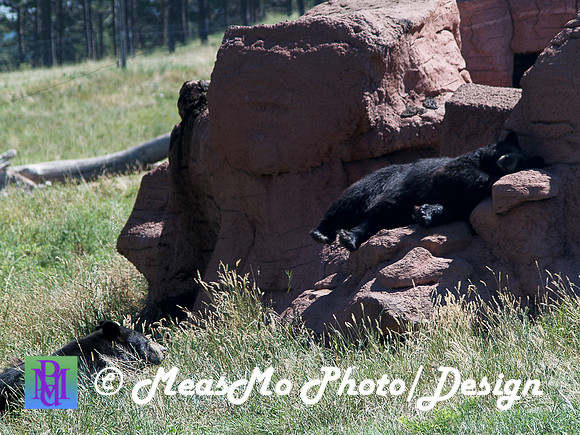 Rapid City_Sep012015_6014