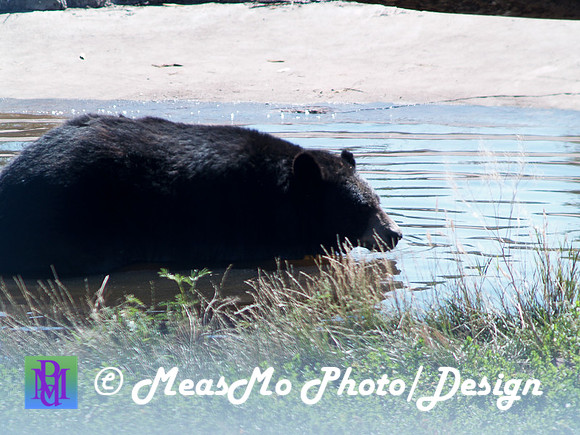 Rapid City_Sep012015_5826