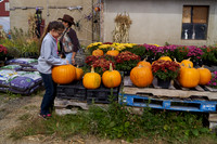 Apple Picking and Picnic_Sep272015_3104