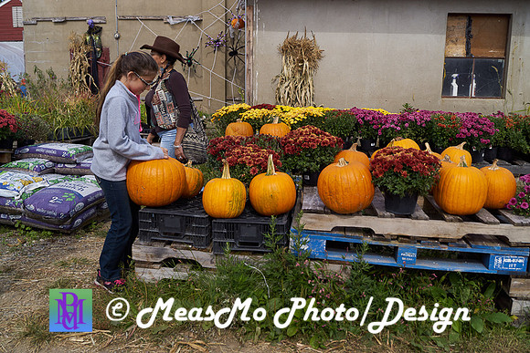 Apple Picking and Picnic_Sep272015_3104