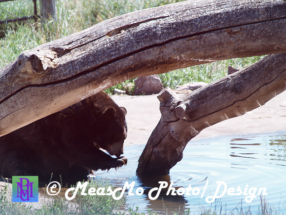 Rapid City_Sep012015_5777