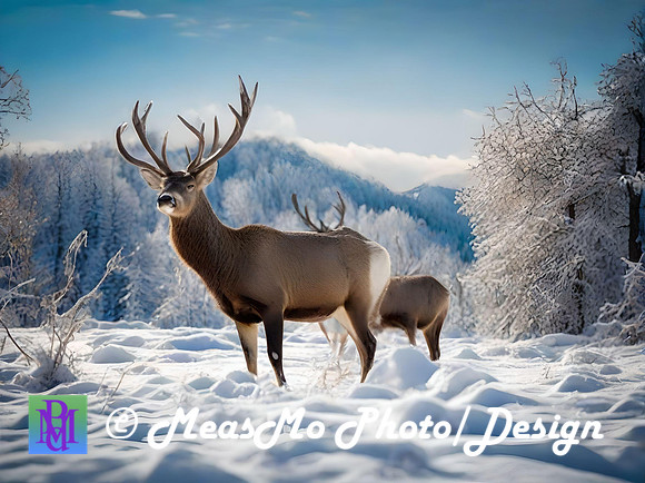Cin wildlife 005