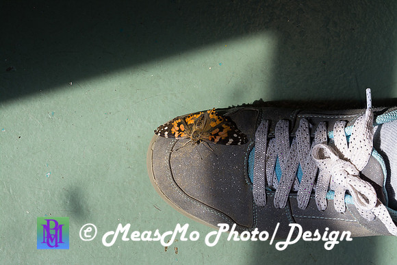 Alexis at Butterfly Sanctuary_July 27, 2018_0013
