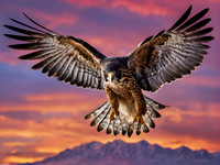 Ph3 falcons battle AI-IP 010