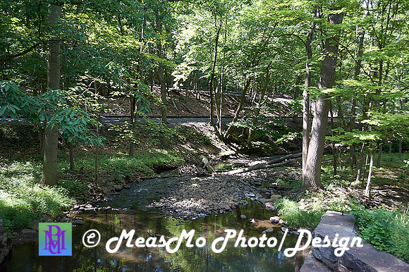 Alexis Steamtown_July 04, 2021_0395