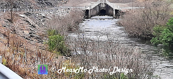 Alexis_Beltzville_July 10, 2021_0042