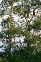 Alexis Helena Eagles_July 28, 2018_0075