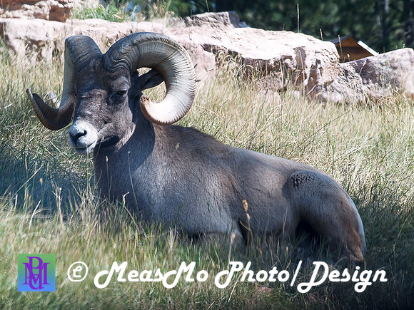 Rapid City_Sep012015_5723