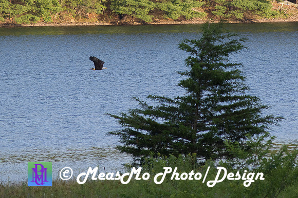 Alexis Helena Eagles_July 28, 2018_0168
