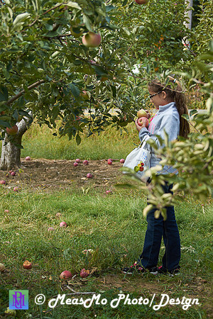 Apple Picking and Picnic_Sep272015_3117