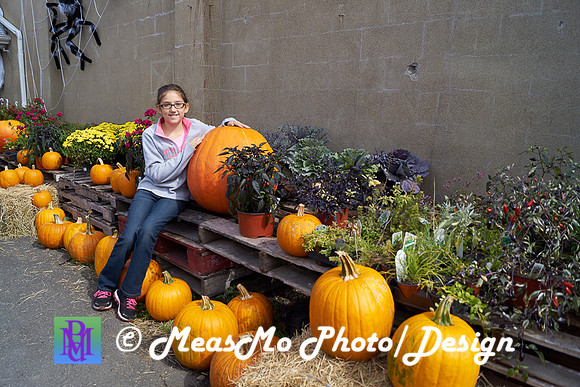 Apple Picking and Picnic_Sep272015_3108