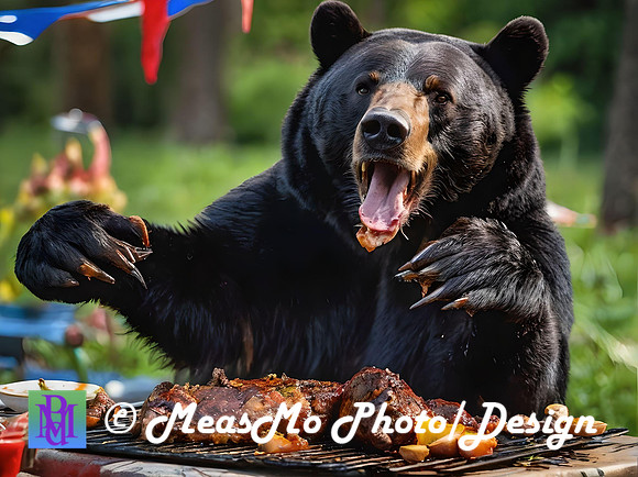 002 Ph3 black bear AI-IP