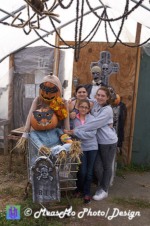 Apple Picking and Picnic_Sep272015_3103