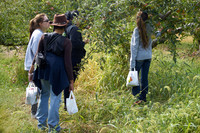 Apple Picking and Picnic_Sep272015_3114