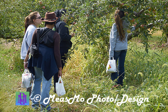 Apple Picking and Picnic_Sep272015_3114
