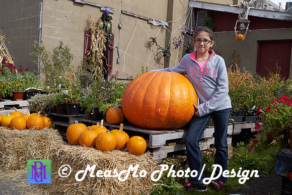 Apple Picking and Picnic_Sep272015_3106