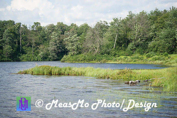 Alexis at Ricketts Glen_July 26, 2018_0087